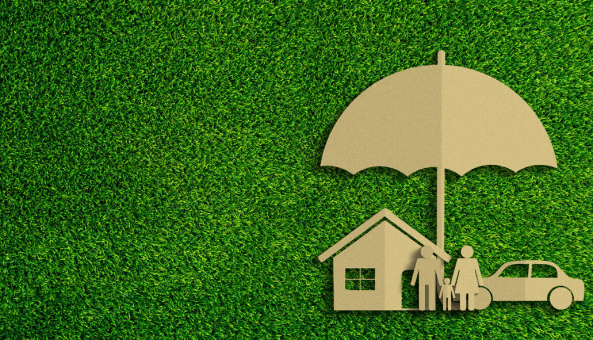 asset-building permanent life insurance